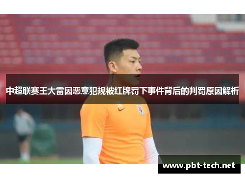 中超联赛王大雷因恶意犯规被红牌罚下事件背后的判罚原因解析