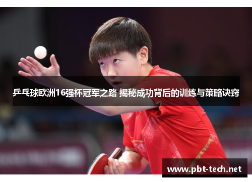 乒乓球欧洲16强杯冠军之路 揭秘成功背后的训练与策略诀窍